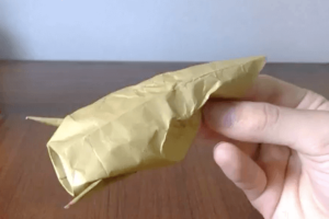 川魚・なまずの折り紙の折り方
