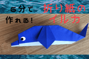 折り紙のイルカの作り方 (1)